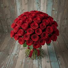 Букет 55 Красных роз Фридом #REPLACE_PRED# Ильино-Поляна