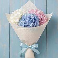 Букет цветов из:  Гортензия в Ильино-Поляна