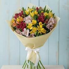 Букет цветов из:  Альстромерии #REPLACE_PRED# Ильино-Поляна